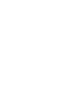 薔薇フェスタ